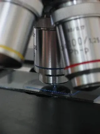 Mikroskop im histologischen Labor