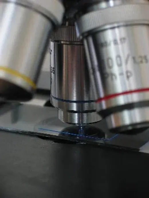 Mikroskop im histologischen Labor