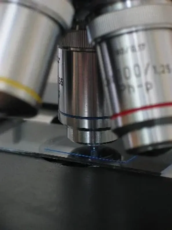 Mikroskop im histologischen Labor